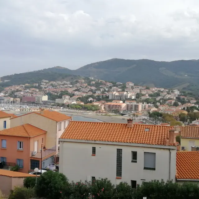 Maurice Chevalier (6)