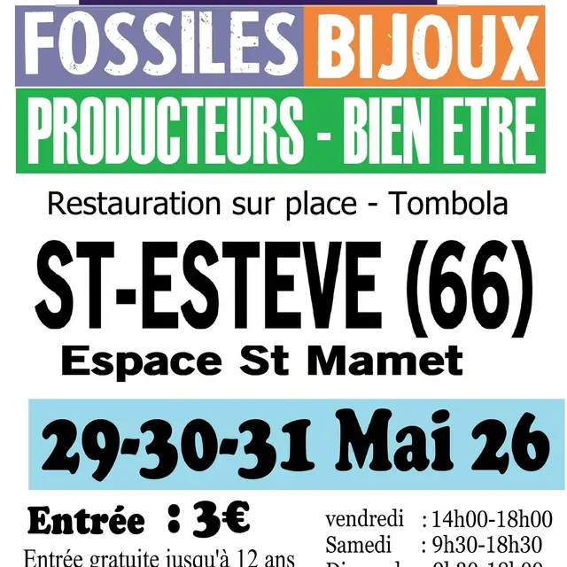 Minéraux et fossiles