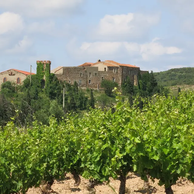 N°9_T©Commune de Calce Le mas de Les Founts