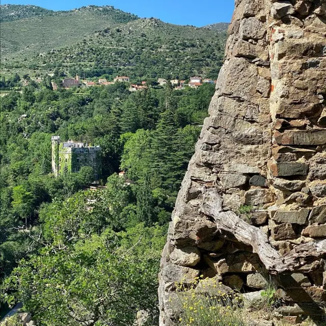 Paracoll par Thermes de Molitg  (2)