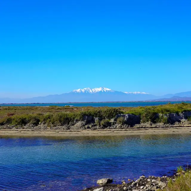 PORT BARCARES PARC DES DOSSES