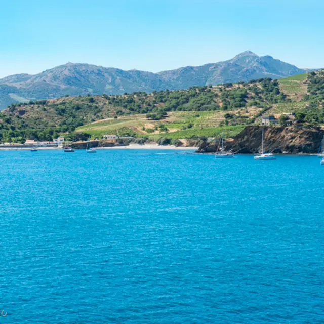 Paulilles_depuis_sentier_littoral