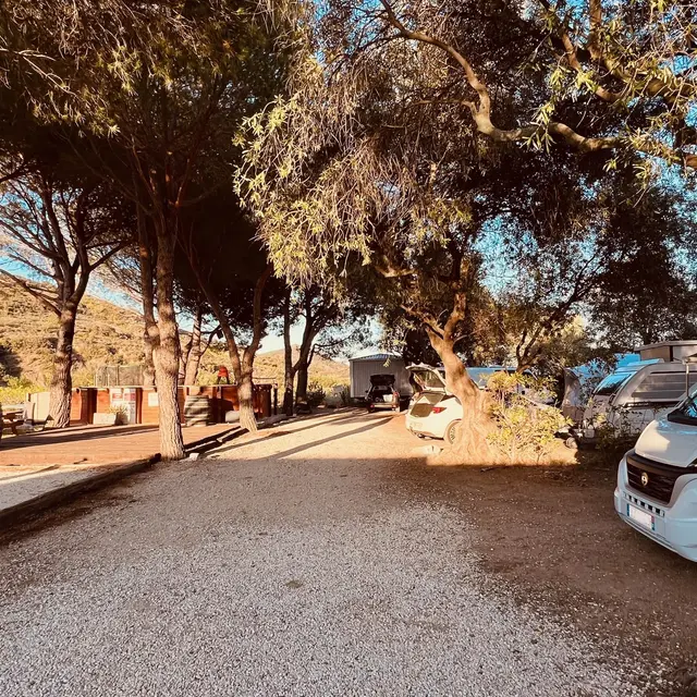 Pétanque, coin pique-nique et piscine - Camping le maurynate - J.Borrat