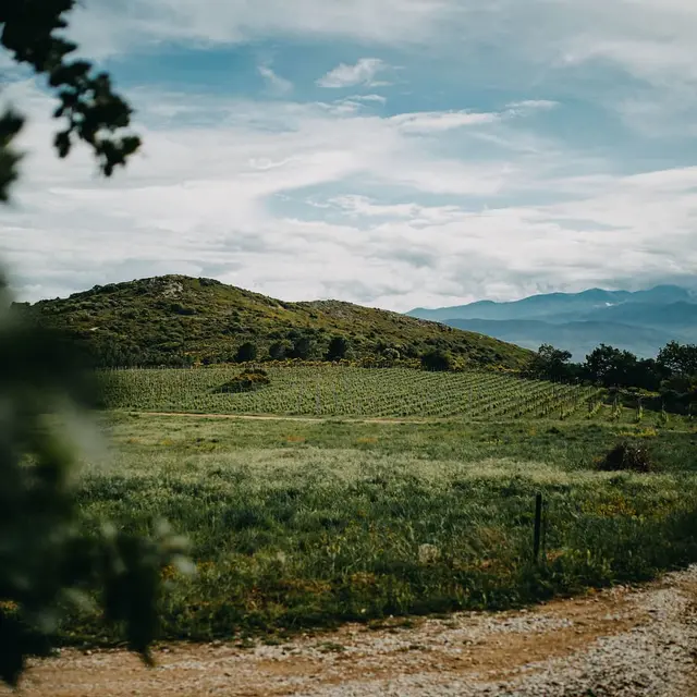 Photo Principale_clot_de_l_oum©Sonia Epple