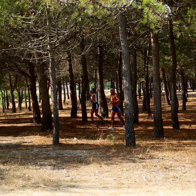 PORT BARCARES PINEDE