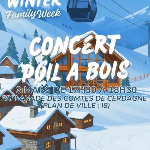WINTER FAMILY WEEK - CONCERT POIL A BOIS