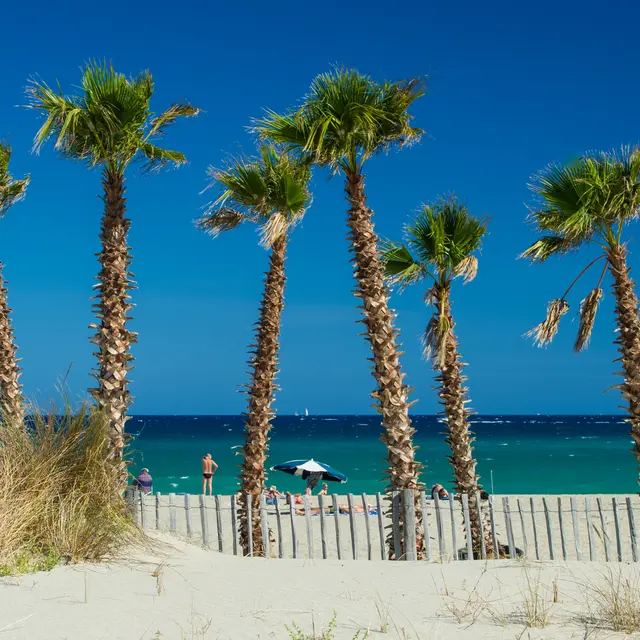 Plage Maillol - Saint-Cyprien (1)