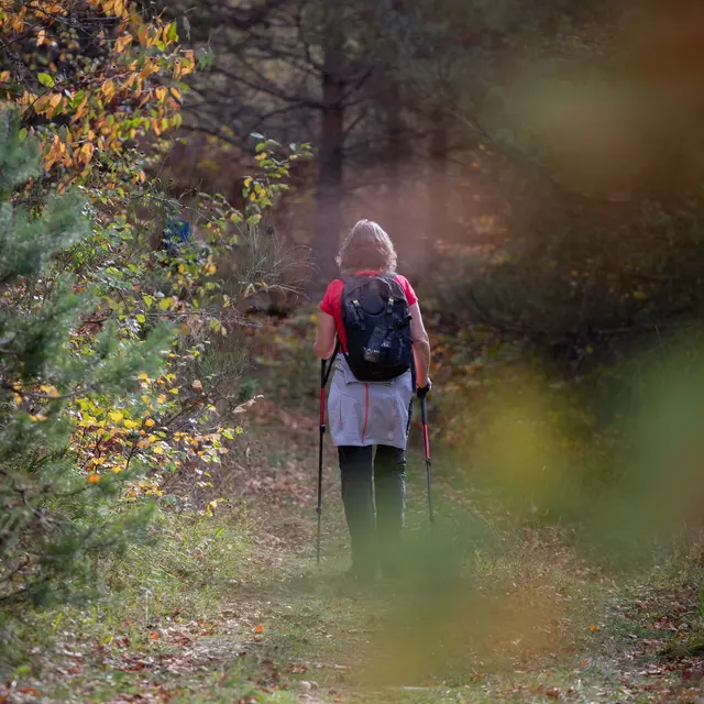 Pyrenéescatalanes-Rando automnale