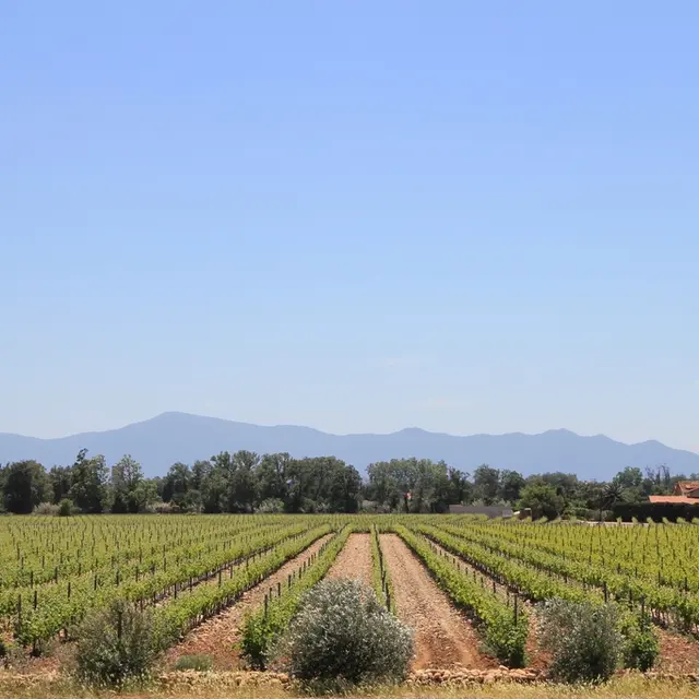 RIERE CADENE (2) 2015