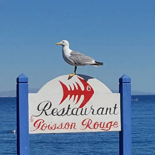 Restaurant le Poisson Rouge