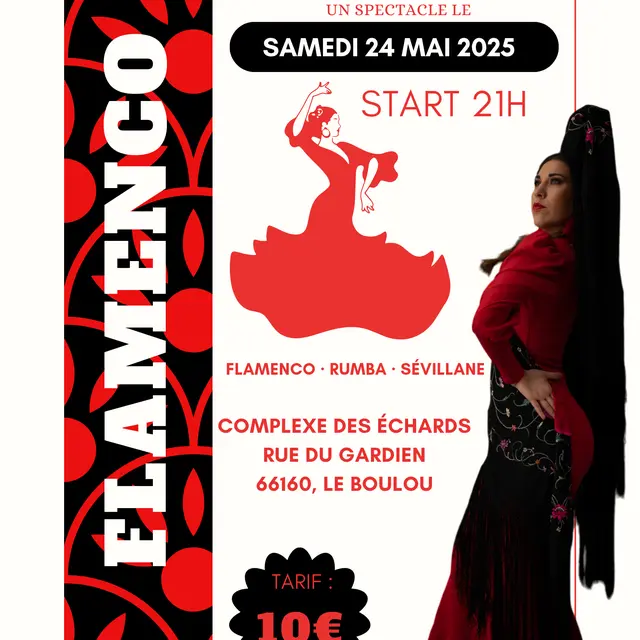 SPECTACLE BAILANDO 24 05 2025 21H