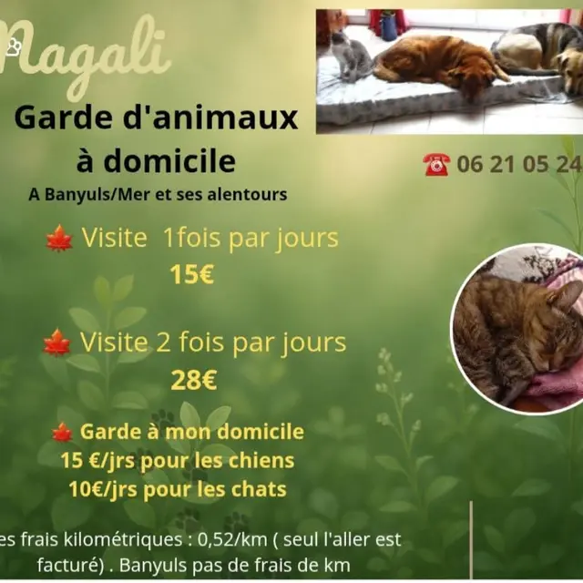 Garde d'animaux
