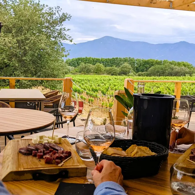 Sol_Payr_Bettina_Bauer_1_