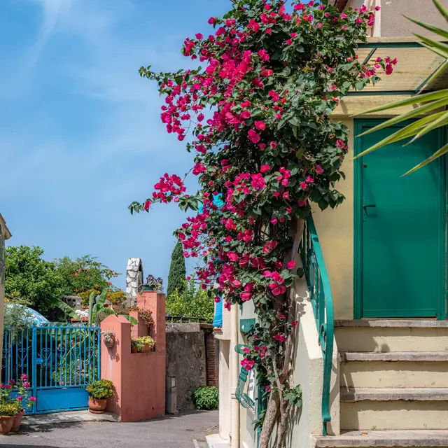 Sorede-Marc_Nouss-1884-1200px