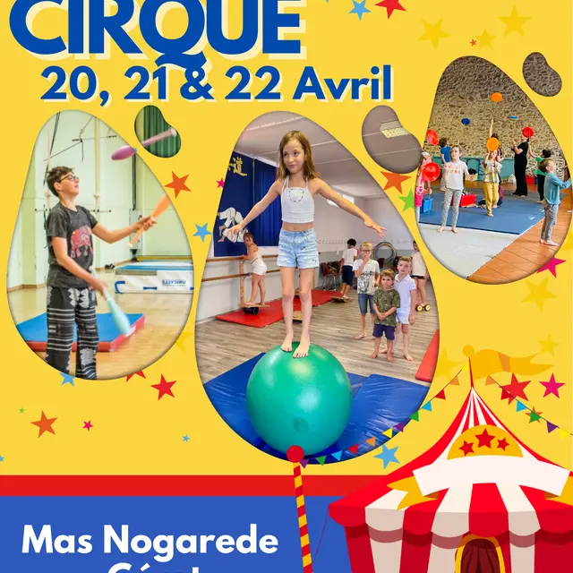 Stage CIRQUE