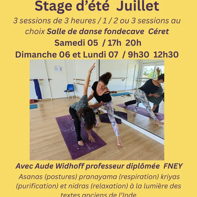 Stage d’été 5, 6 et 7 Juillet 3 sessions de 3 heures Salle de danse fondecave Céret