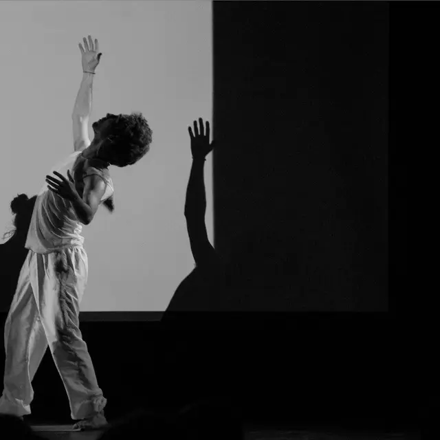 Stage de danse