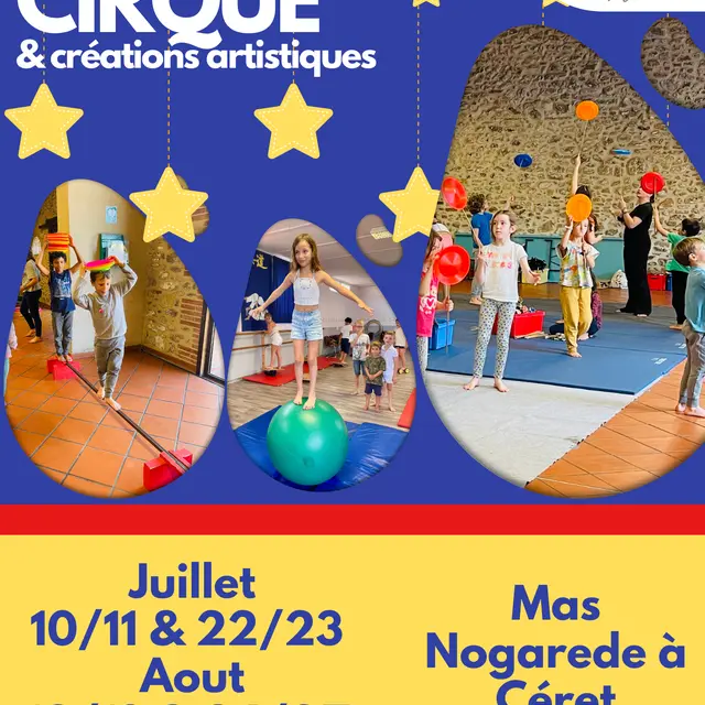 Stages de cirque