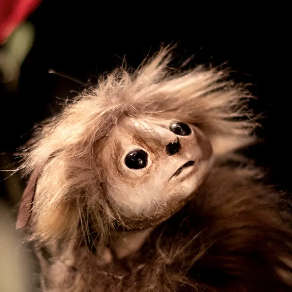 Sur Les Pas D'Oodaaq Mars 2025