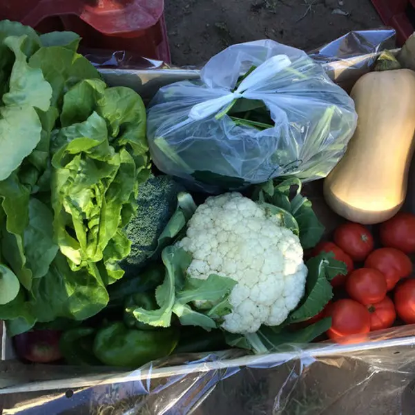 Vergers des Cabanes 1