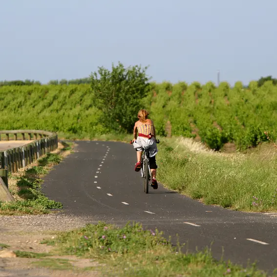 Voie_Verte_Perpignan_Thuir