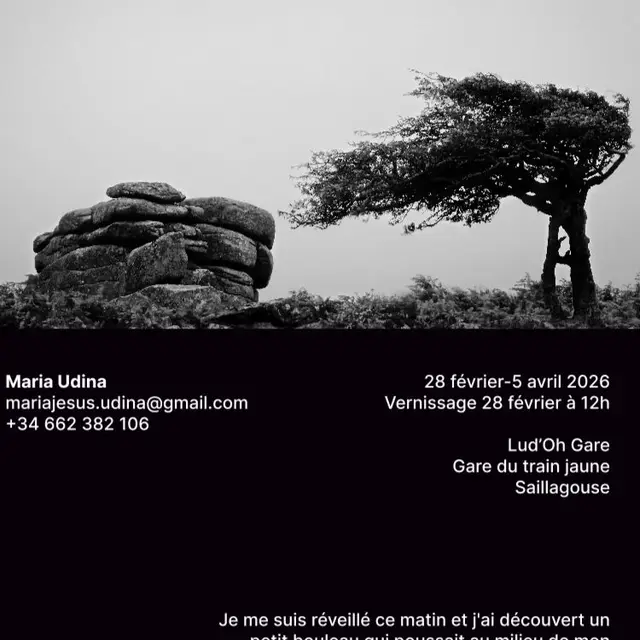 WhatsApp Image 2026-02-18 at 22.38.01