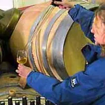 Domaine le Casot des Mailloles