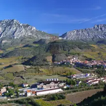 Cellier des Vignerons de Maury