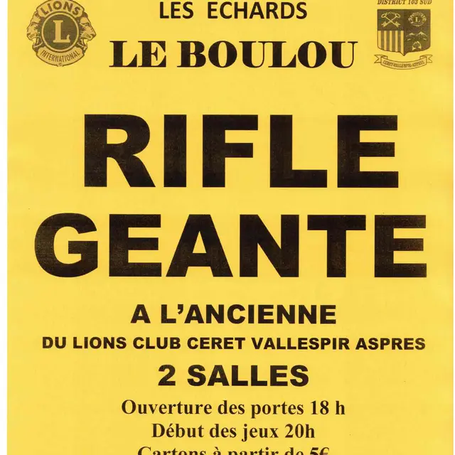 affiche mag 2025jaune