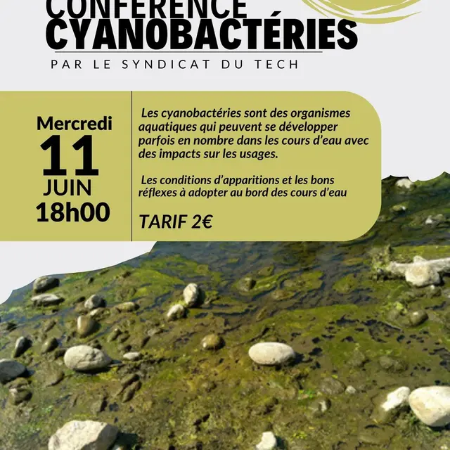 Affiche Évènement Journée Solidaire Ramassage de Déchets Moderne Photo Simple Vert - 1