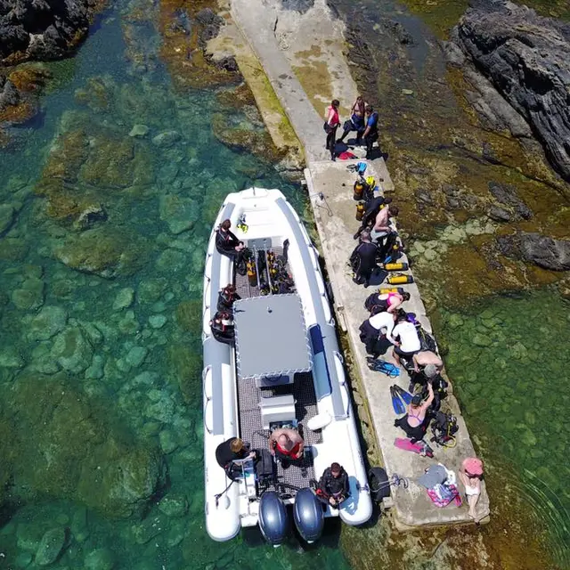 ALOES PLONGEE CERBERE