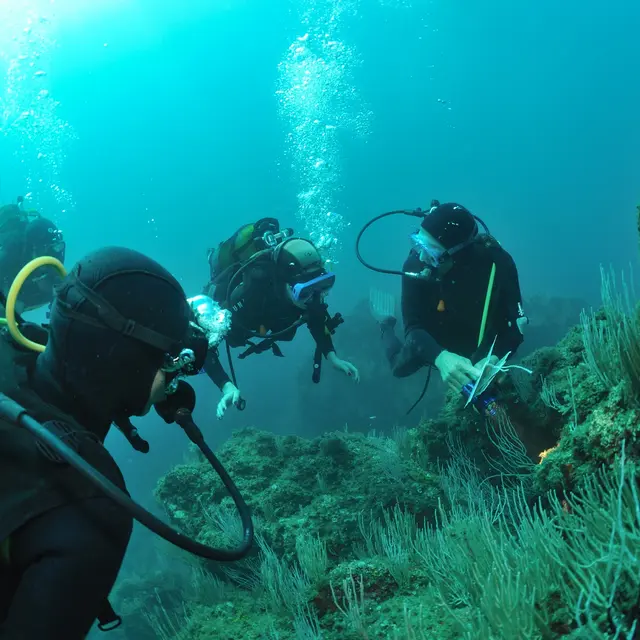 aquaplanet saint cyprien 03 1920px