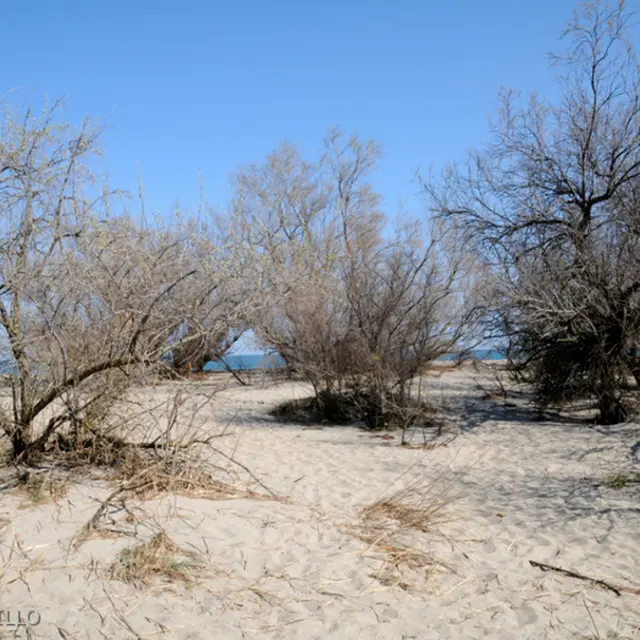 argeles_reserve_mas_larrieu_3