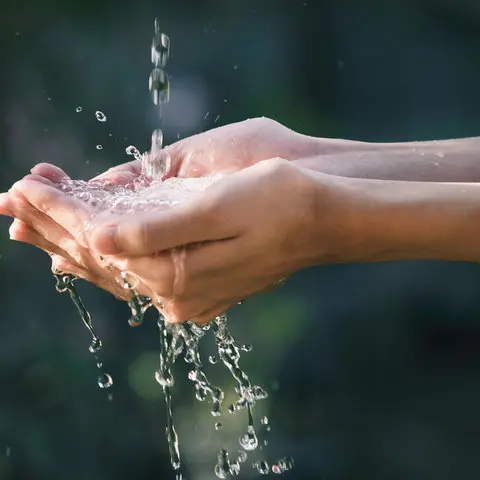 Photo d'illustration