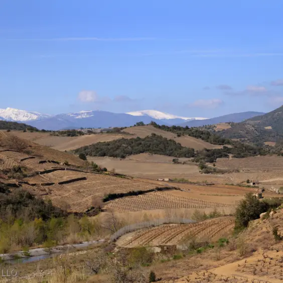 autour_de_caramany_2009_1