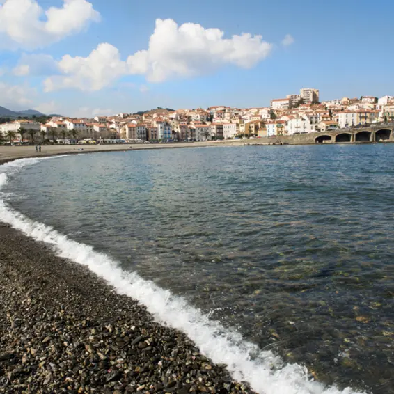 banyuls_vue_de_la_plage_6_mars_2014