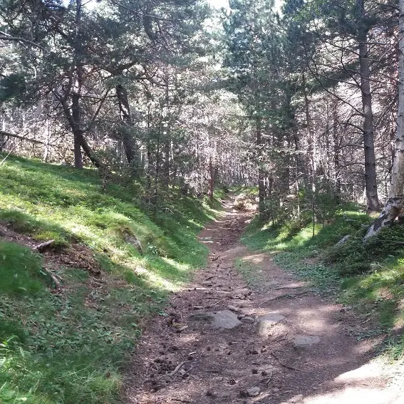 Le long de la route des canons_1