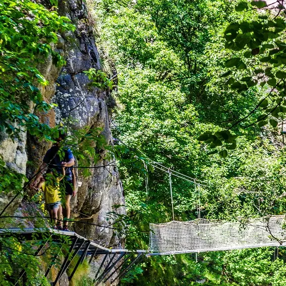 Passage sur les passerelles et ponts de singe_1