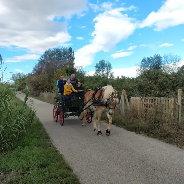 Chariot caleche jordi