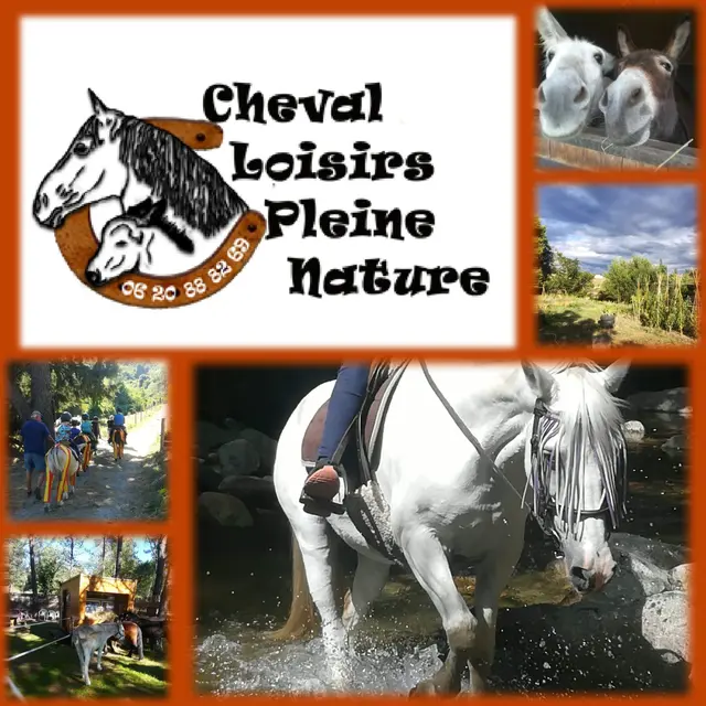 cheval loisirs pleine nature - sournia - Mme LESUR
