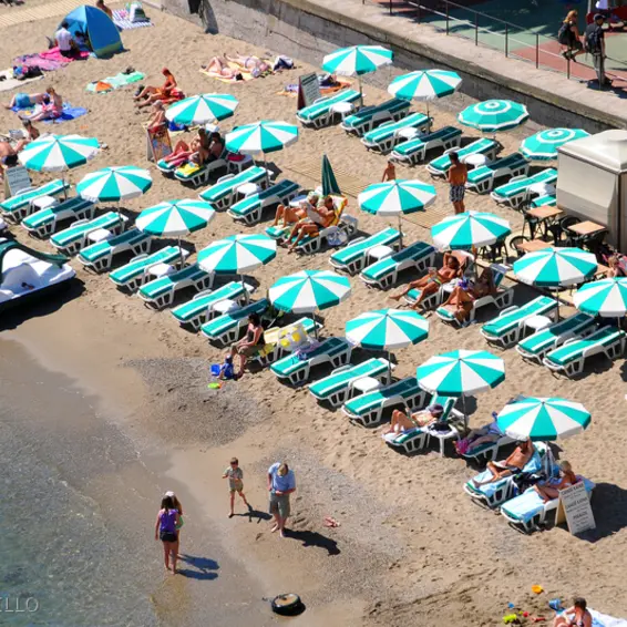 collioure port d avall