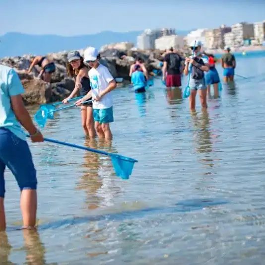 Atelier Peche à pied