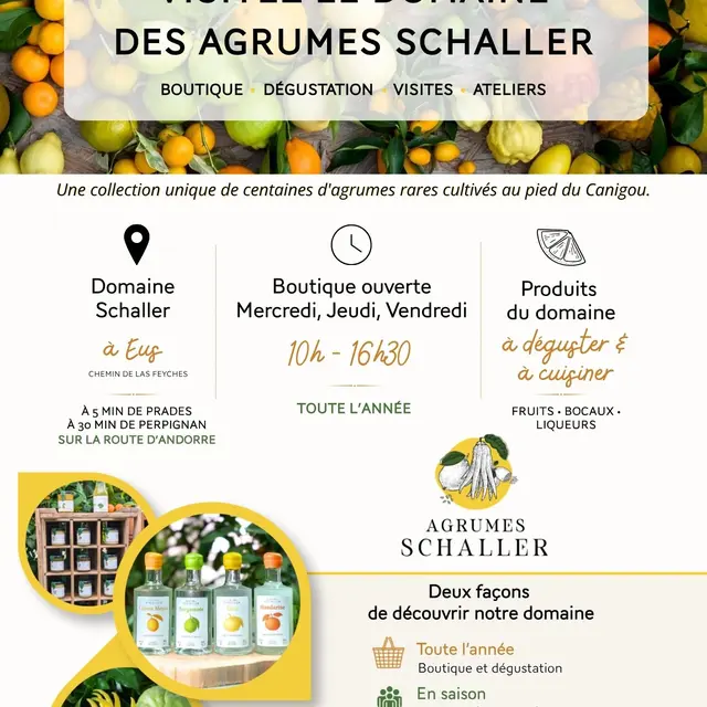 dégustation & vente directe - 1