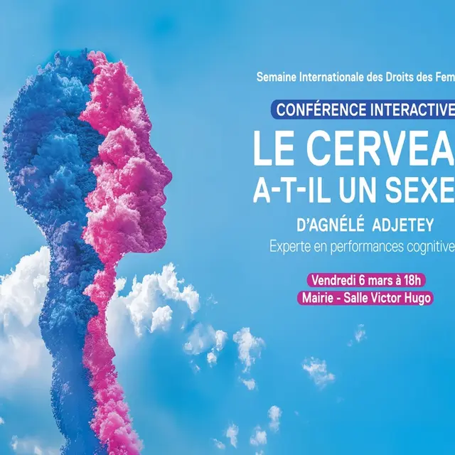 PORT BARCARES LE CERVEAU A TIL UN SEXE ?UN