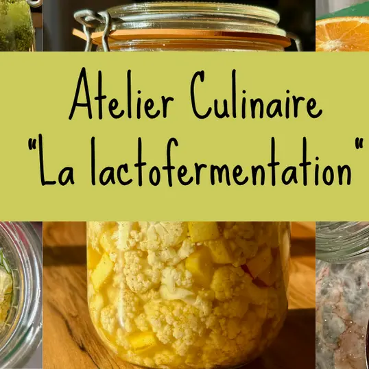 TORREILLES FMA  ATELIER CULINAIRE LACTOFERMENTATION 2025