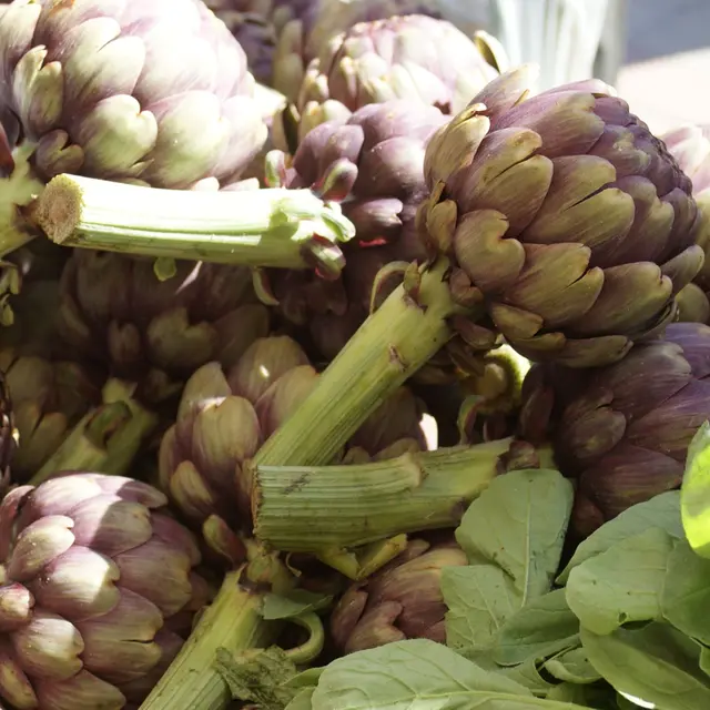 fête artichaut