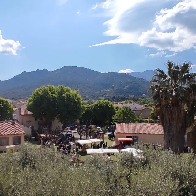 FETE DE L'HUILE D'OLIVE