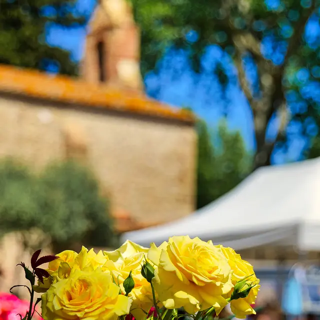 TORREILLES FMA VISUEL FLORALIES