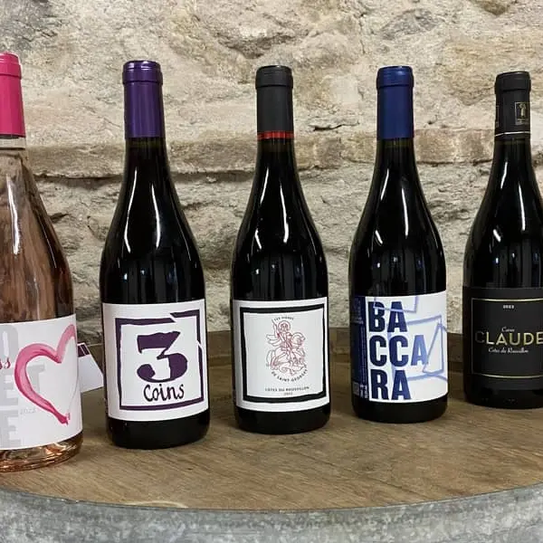 Domaine Bellevue Saint Georges