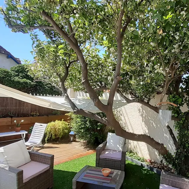 jardinarbore_66G200802_1